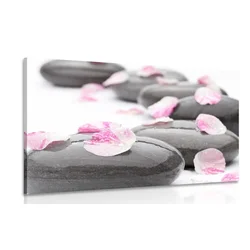 Slika listi cveta na wellness kamnih - 40x30
