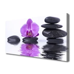 tulup.si Slika na platnu Flower water mirror razmislek 100x50 cm