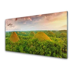 tulup.si Steklena slika Jungle forest narava 120x60 cm 2 obešalnika