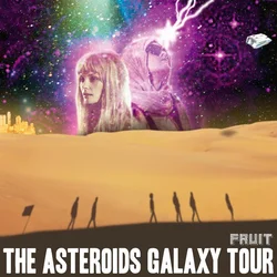 posneti mediji THE ASTEROIDS GALAXY TOUR - FRUIT, (21009861)