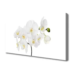 tulup.si Slika na platnu Bela orhideje 125x50 cm