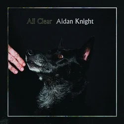 Aidan Knight - Each Other (LP)