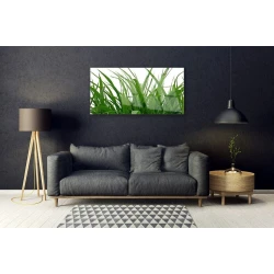 tulup.si Slika na steklu Grass nature rastlin 120x60 cm 2 obešalnika