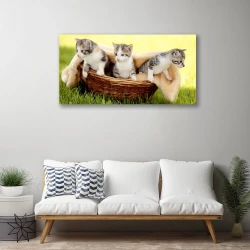 tulup.si Slika na platnu Mačke živali 100x50 cm