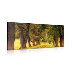 Slika steza po jesenskem gozdu - 140x70