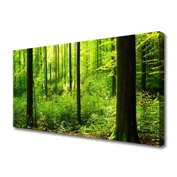 tulup.si Slika na platnu Green forest trees narava 100x50 cm