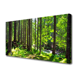 tulup.si Slika na platnu Narava rastlin forest trees 140x70 cm