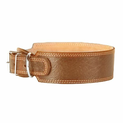 Usnjena pasja ovratnica COLLAR - 52-64 cm, 60 mm - rjava