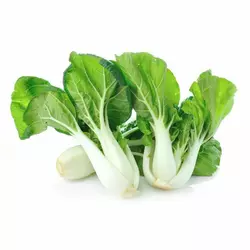 PAK CHOI