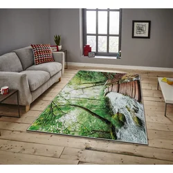Conceptum Hypnose tepih Asr Crpt-13, pravougaoni, 100 x 140 cm, šareni