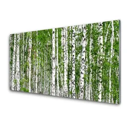 tulup.si Slika na akrilnem steklu Birch tree forest narava 100x50 cm 2 obešalnika