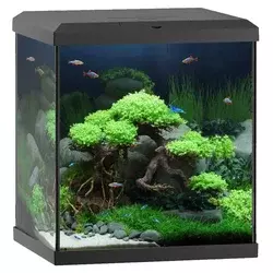 Juwel akvarijum vio cube 54 - beli 54