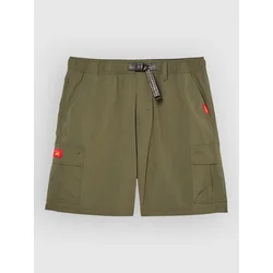 Quiksilver Bm Cyclone Cargo kopalne hlače grape leaf