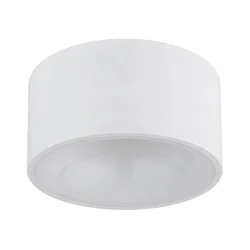 Globo 56964W - LED stropno svetlo RAYMOND LED/12W/230V 3000K prečnik 15 cm bela