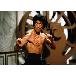 KS Games - Puzzle Bruce Lee - 1 000 kosov