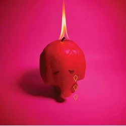 Arcade Fire - Pink Elephant (Digipak) (CD)