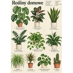 Plakat 30x40 cm Sobne rastline botanični atlas starinskih rastlin