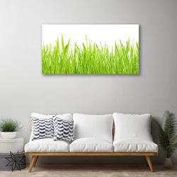 tulup.si Slika na platnu Grass nature rastlin 100x50 cm