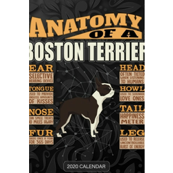 Anatomy Of A Boston Terrier: Boston Terrier 2020 Calendar - Customized Gift For Boston Terrier Dog Owner