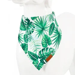 Tark Rutka Tropical L
