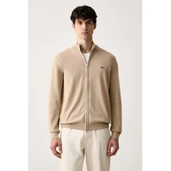 Lacoste moški bombažen