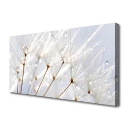 tulup.si Slika na platnu Dandelion rastlin 120x60 cm