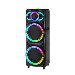 NDR Bluetooth zvučnik NDR-2270, 100W, 2x12, 2 mikrofona, Crni