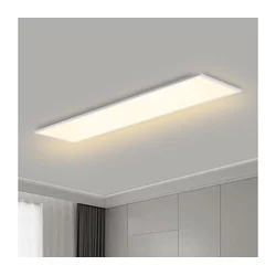 Brilagi - LED plafonsko svetlo SLIMFRAME LED/58W/230V 120x30 cm belo