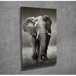 Wallity Slika na platnu 30x40cm