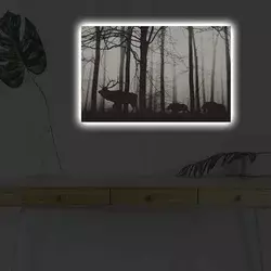 Wallity Slika sa LED osvetljenjem 4570DHDACT-080, 45x70 cm