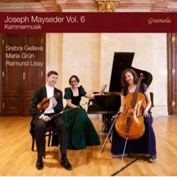 MAYSEDER:KAMMERMUSIK VOL.6/GELLEVA/GRUN/LISSY