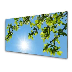 tulup.si Steklena slika Sonce narava 140x70 cm 2 obešalnika