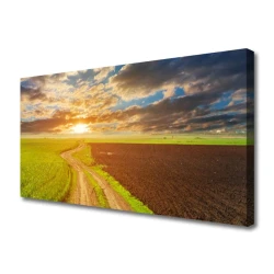 tulup.si Slika na platnu Narava polje sky sun 125x50 cm