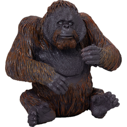 Moj orangutan