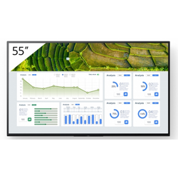 Bravia FW-55BZ30L