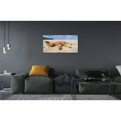 tulup.si Steklena slika Leži pasjo plažo 120x60 cm 2 obešalnika