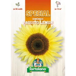 SONČNICE PAQUITO LEMON