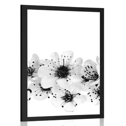 Plakat češnjevi cvetovi v črnobeli varianti - 40x60 white