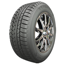 Starmaxx IceGripper W850 RFT ( 205/55 R16 91H , runflat )