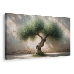 Slika oljka na kamnitem dvorišču - 60x40