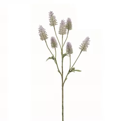 Veja Trifolium vijolična 55 cm - vijolična - 50 do 75 cm