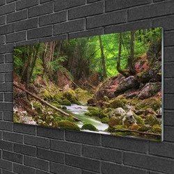 tulup.si Steklena slika Forest moss narava 100x50 cm 4 obešalnika
