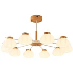 NVC Luster WHDD100F/G-05, 100 W, Smeđi