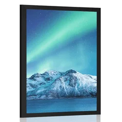 Plakat arktični severni sij - 60x90 no frame