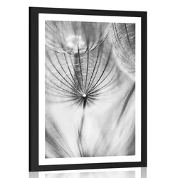 Plakat s paspartujem regrat v črnobeli varianti - 20x30 no frame