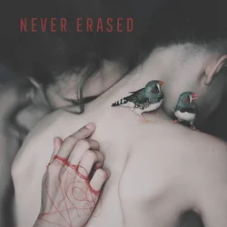 Various Artists - Never Erased (Limited Edition) (LP)