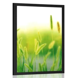 Plakat stebla trave v zeleni varianti - 30x45 no frame
