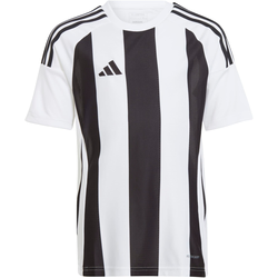 Dres adidas STRIPED 24 JSYY