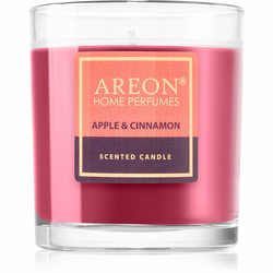 AREON SVECA APPLE& CINNAMON 120 GR
