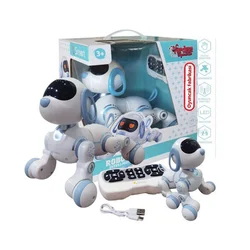 Jungle robot kuca